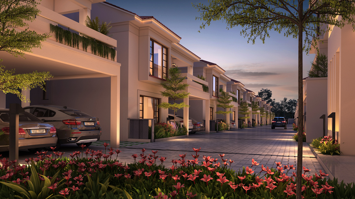 Completing Your Dream Project: Narpavi's Final Touches